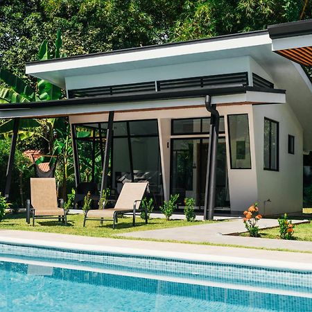 Tamandua Homes El Centro De Uvita Ngoại thất bức ảnh